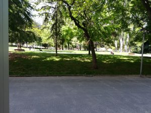 paseo parque del norte alai centro dia vitoria gasteiz