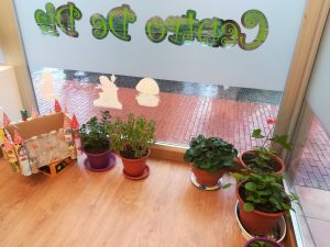 plantas escaparate alai centro dia vitoria gasteiz